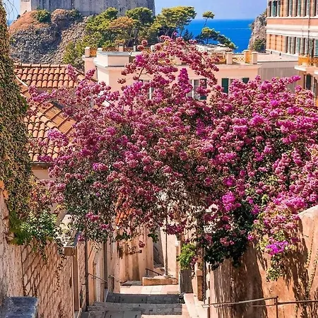 House Nina * Dubrovnik