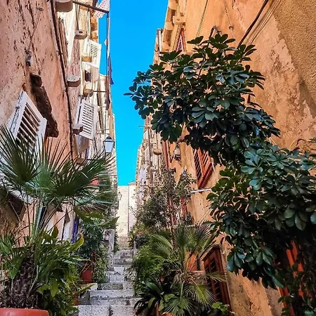 Apartamento House Nina *